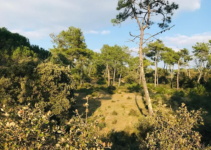 Immersion Marine, T2 Front De * Saint-Hilaire-de-Riez